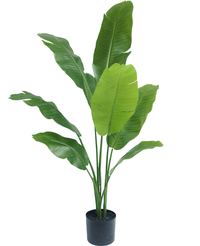 Ave del Paraiso Planta artificial Strelitzia Nicolai Deluxe 120 cm