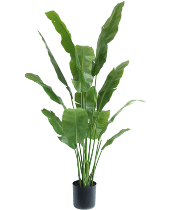 Ave del Paraiso Planta artificial Strelitzia Nicolai Deluxe 170 cm