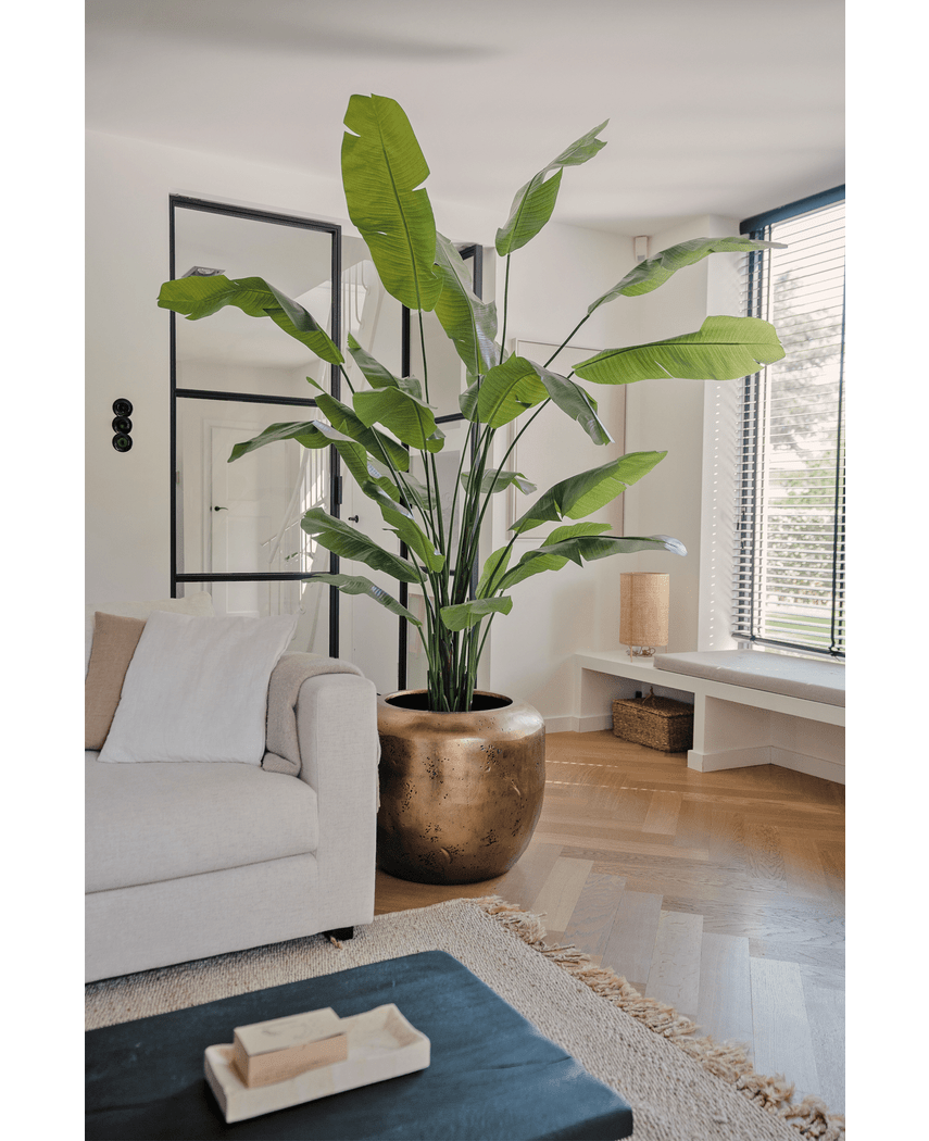 Ave del Paraiso Planta artificial Strelitzia Nicolai Deluxe 235 cm