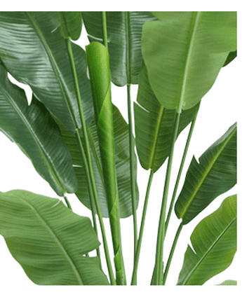 Ave del Paraiso Planta artificial Strelitzia Nicolai Deluxe 185 cm