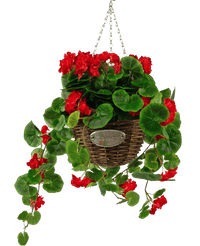 Begoña artificial púrpura en cesta UV 70 cm