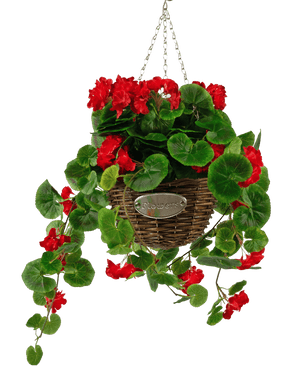 Begoña artificial púrpura en cesta UV 70 cm