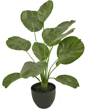 Calathea artificial 58 cm verde en maceta decorativa negra