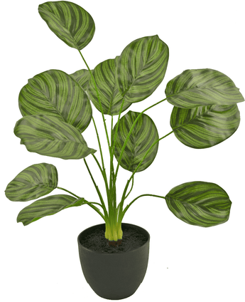 Calathea artificial 58 cm verde oscuro en maceta