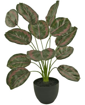 Calathea artificial 58 cm verde/roja en maceta decorativa negra