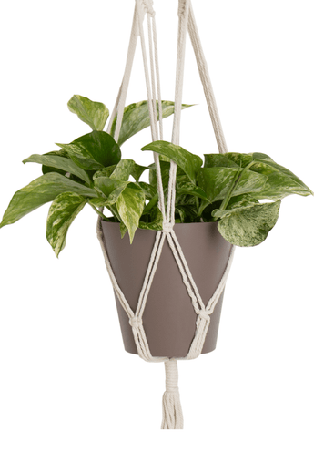 Cuerda Colgante para plantas Macramé Pared Blanco Ø13 x H100 cm