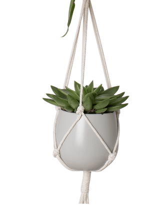 Cuerda para colgar plantas Macramé Doble Nudo Básico Blanco Ø10 x H120 cm