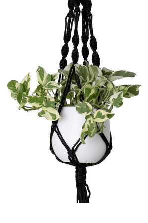 Cuerda para colgar plantas Macramé Nudo simple en espiral Negro Ø13 x H100 cm