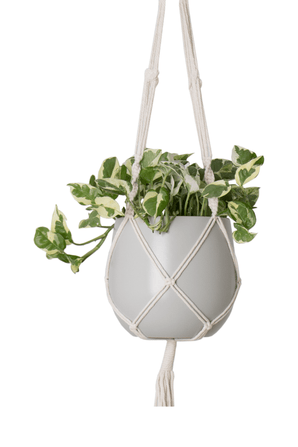 Cuerda para colgar plantas Macramé Nudo simple en espiral Blanco Ø17 x H100 cm