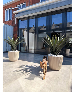 Un gato atigrado marrón-negro camina en un patio soleado con dos plantas en macetas artificiales Agava Pandora UV de 85 cm, frente a puertas de vidrio que reflejan las casas y el cielo.