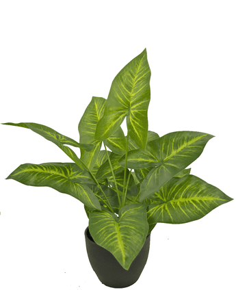 Dieffenbachia artificial 40 cm