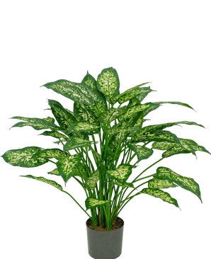 Una planta artificial de Dieffenbachia de 75 cm con exuberantes hojas verdes, decorada con manchas de color amarillo verdoso pálido, representada sobre un fondo blanco liso.