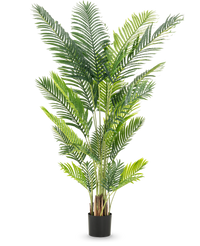 Planta artificial Phoenix 200 cm