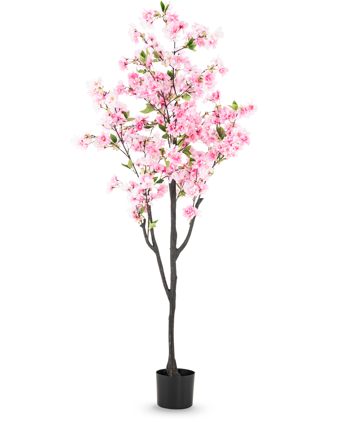 La flor de cerezo artificial rosa de 180 cm tiene flores rosas y hojas verdes en una pequeña maceta negra, sobre un fondo blanco liso.