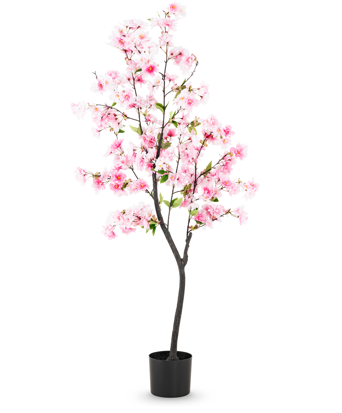 La flor de cerezo artificial rosa de 150 cm tiene flores de seda rosa y hojas verdes en una maceta negra, sobre un fondo blanco liso.