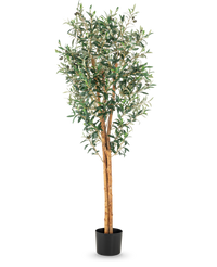 Olivo artificial 160 cm UV