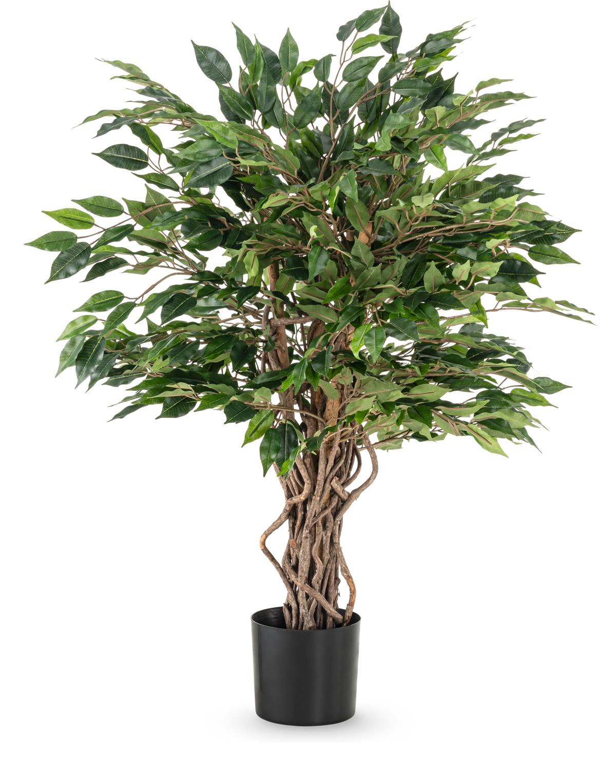 La planta artificial Ficus Liana de 90 cm tiene troncos retorcidos de color marrón y densas hojas verdes en una maceta negra, ideal como planta de oficina o para cualquier colección de ficus, representada sobre un fondo blanco.
