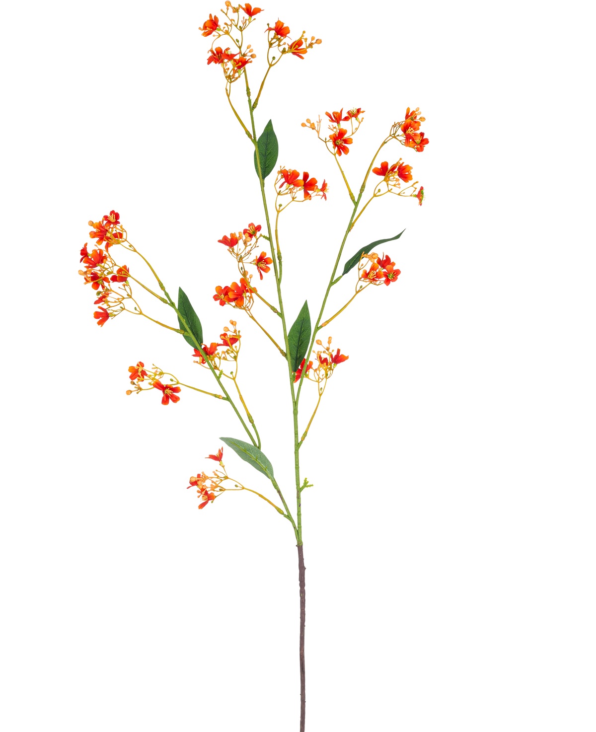 La Rama Artificial Daphne Spray 108 cm naranja tiene una única y larga rama artificial con pequeñas flores de color naranja brillante y hojas verdes, sobre un fondo blanco liso.