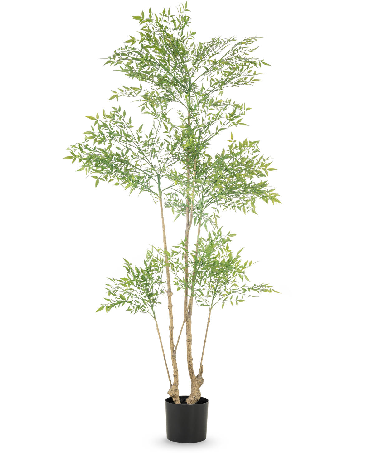 La Planta Artificial Ruscus 180 cm es una planta artificial alta con múltiples troncos esbeltos y abundantes pequeñas hojas verdes, expuesta en una sencilla maceta negra sobre un fondo blanco.