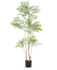 Planta artificial Ruscus 180 cm