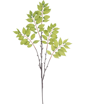 Aquarel illustratie van Kunsttak Varen vertakt 83 cm groen, met een slanke bruine tak met drie stengels en clusters van levendige groene bladeren op een witte achtergrond.