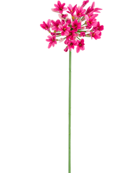 Agapanthus artificial 77 cm rosa