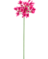 De Kunstbloem Agapanthus 77 cm roze heeft een enkele groene steel met meerdere trossen felroze bloemen, elk met meerdere bloemblaadjes, tegen een effen witte achtergrond.