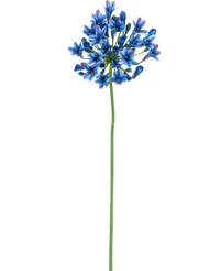 Ramo de flor artificial Agapanthus 77 cm azul