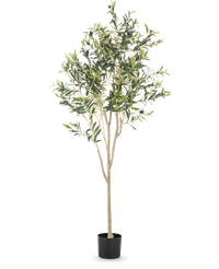 Olivo artificial 180 cm