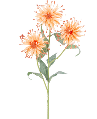 Ramo de flor artificial Scabiosa Japonica 70 cm melocotón