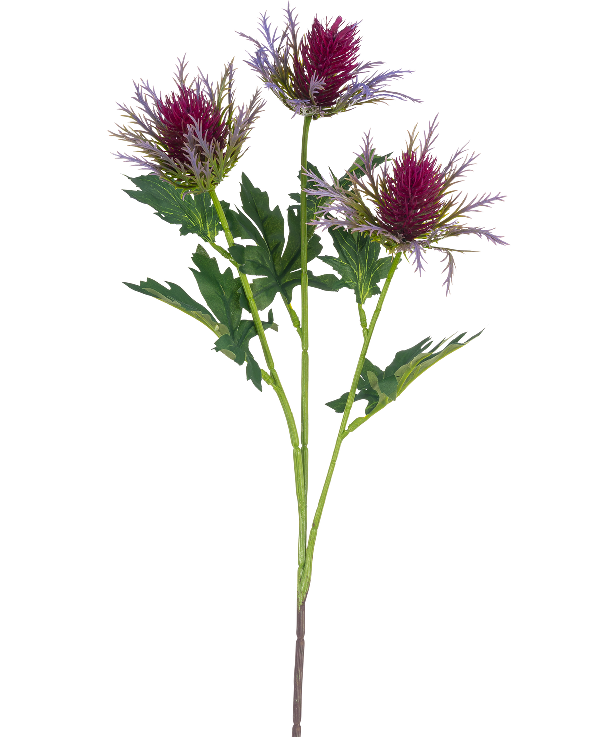 La rama de cardo artificial de 67 cm de color violeta tiene un solo tallo con tres flores puntiagudas parecidas a cardos de color violeta y hojas verdes irregulares sobre un fondo blanco.