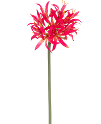 Ramo de flor artificial Nerine 70 cm fucsia