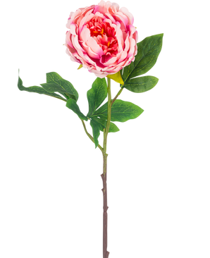De Kunstbloem Pioenroos 61 cm roze heeft een enkele roze pioenroos met weelderige groene bladeren en een lange bruine steel, geïsoleerd op een witte achtergrond.
