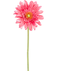 Gerbera artificial 55 cm rosa