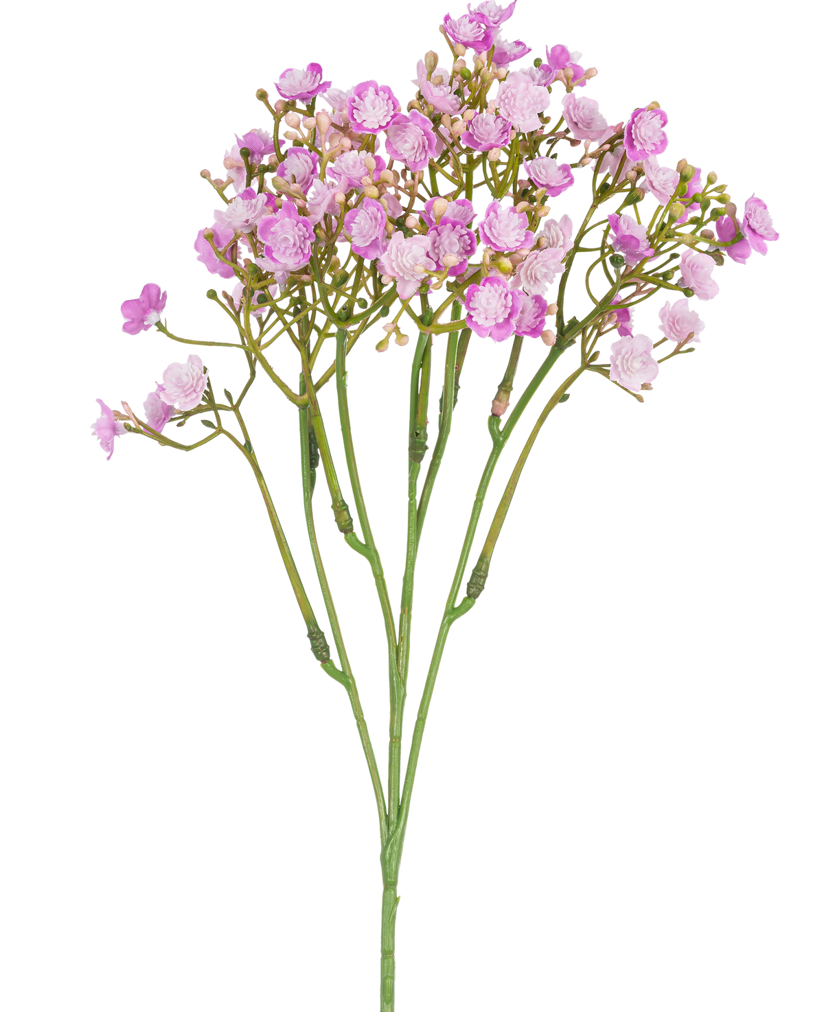La rama artificial de Gypsophila de 46 cm rosa tiene delicadas flores rosadas con pétalos pequeños y redondos sobre finos tallos verdes, sobre un fondo blanco.