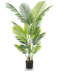 Planta artificial Phoenix 180 cm