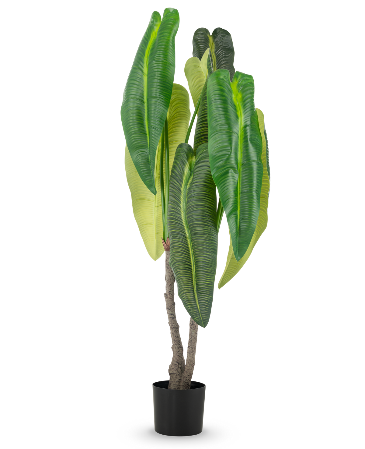 Planta artificial Anthurium de 150 cm con hojas grandes en maceta.