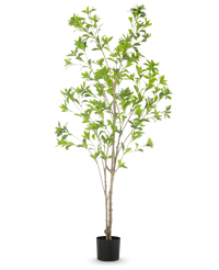 Planta artificial Pieris Japonica 180 cm