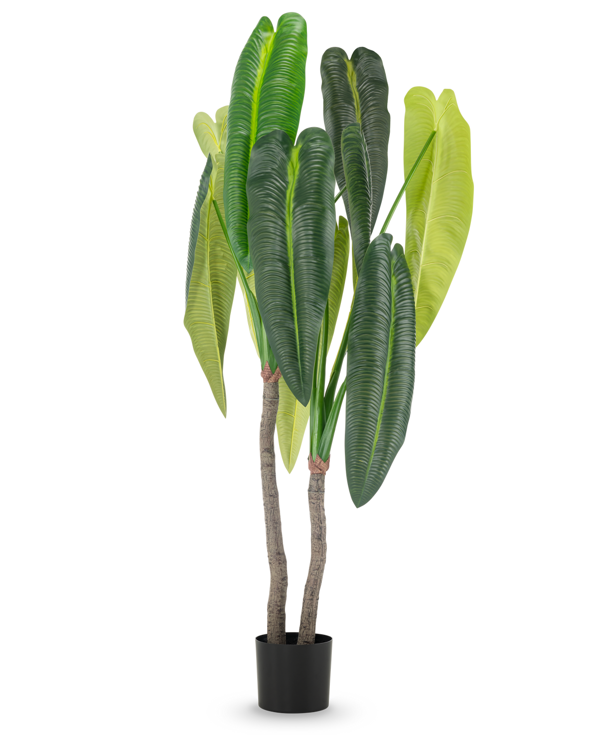 La Planta Artificial Anthurium 180 cm tiene dos tallos marrones y hojas grandes y alargadas de color verde en diferentes tonalidades, en una pequeña maceta negra sobre un fondo blanco.