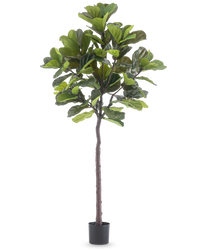 Planta artificial Ficus Planta de tabaco Deluxe 215 cm