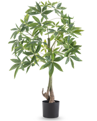 Planta artificial Pachira Árbol del Dinero 120 cm