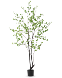 Planta artificial Enkianthus 210 cm