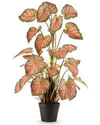 Planta artificial Caladium 90 cm rosa