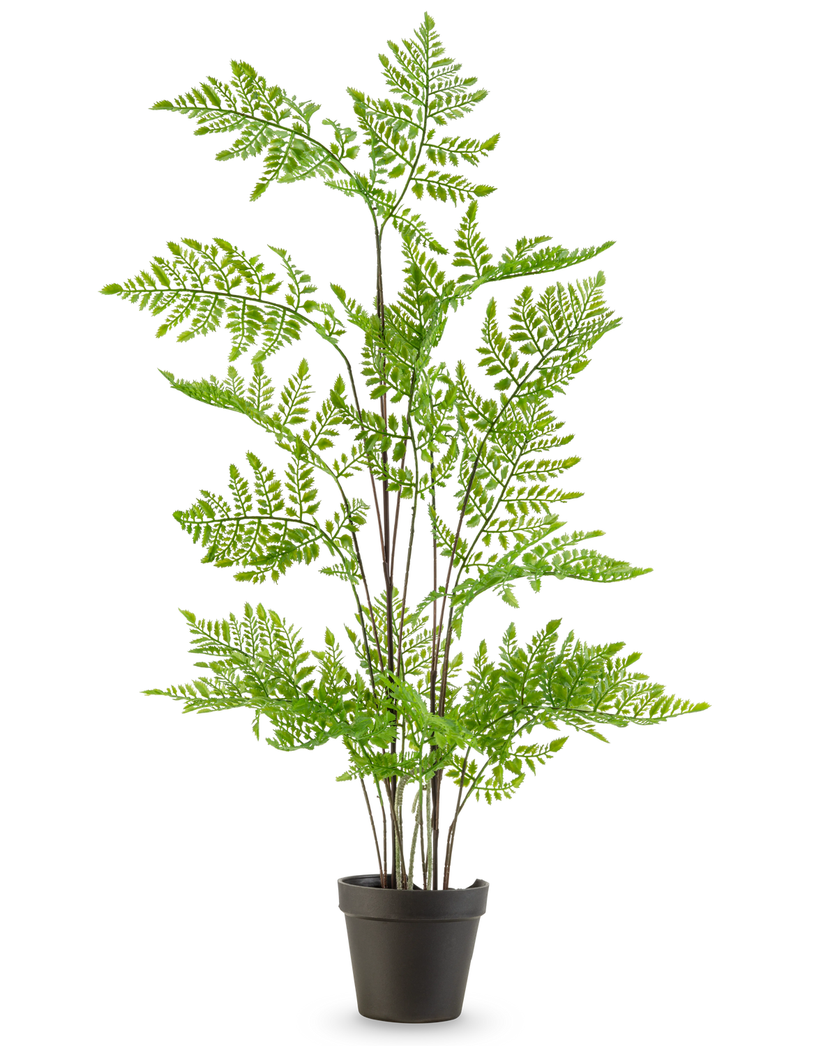 La planta de helecho artificial de 85 cm tiene delicadas hojas de color verde plumoso y múltiples tallos largos y delgados, presentados en una maceta sobre un fondo blanco liso.