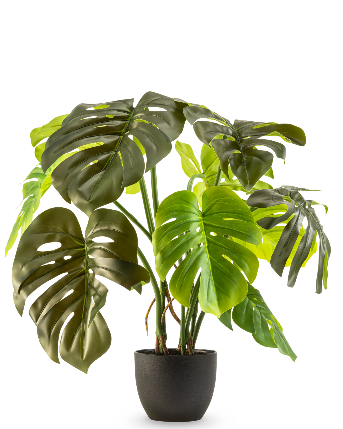 La Monstera Artificial de 50 cm tiene grandes hojas de color verde brillante con grietas y agujeros naturales, presentadas en una maceta sobre un fondo liso blanco.