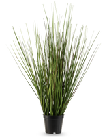 La planta de césped artificial Cebolla ignífuga de 50 cm tiene tallos verdes largos y estrechos que crecen erguidos y se estrechan ligeramente en una pequeña maceta de plástico negro, sobre un fondo blanco liso.