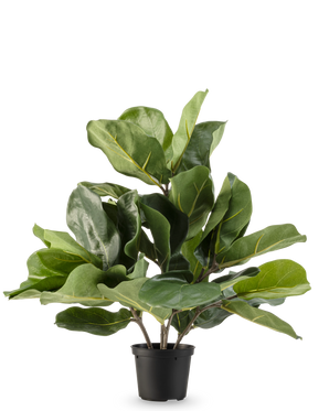 La planta de tabaco artificial Fiddle Leaf UV 45 cm tiene hojas grandes de color verde brillante y tallos gruesos en una maceta de plástico negra, sobre un fondo blanco liso.