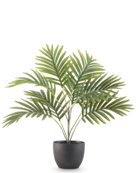 Palmera Datilera artificial 50 cm en maceta decorativa negra
