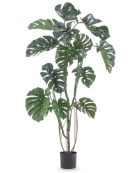 Planta artificial Monstera 150 cm