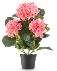 Hortensia Artificial Rosa 35 cm